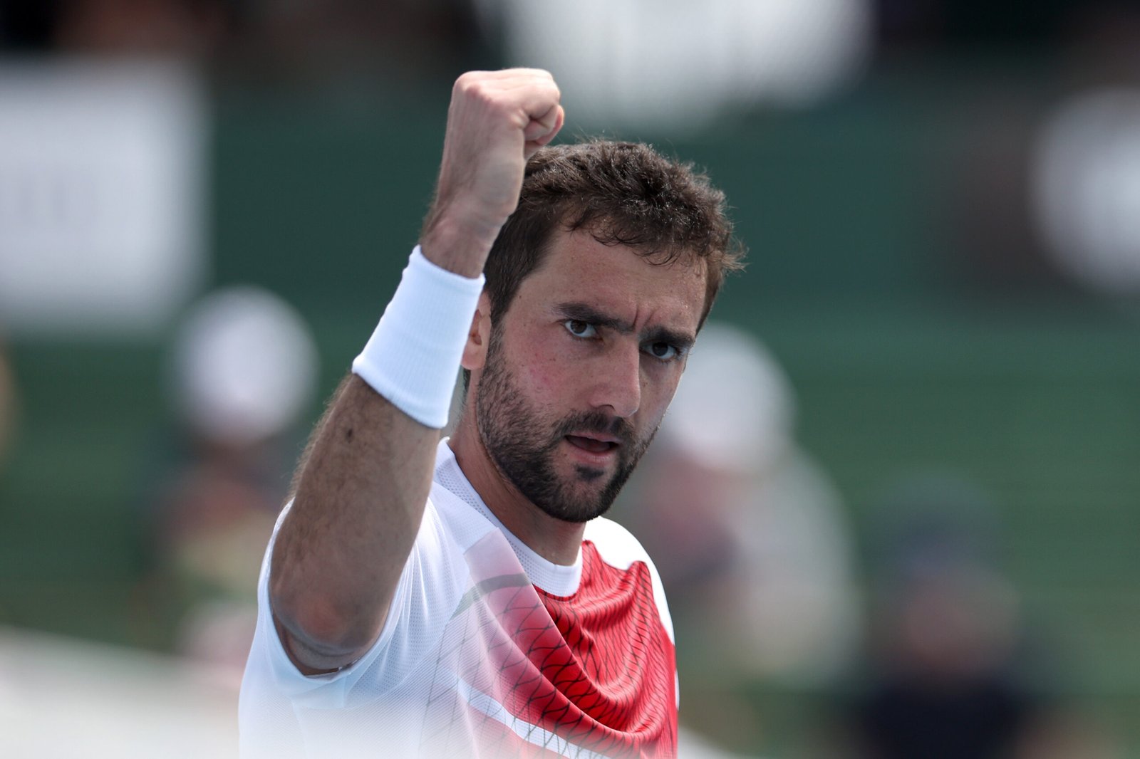 Cilic