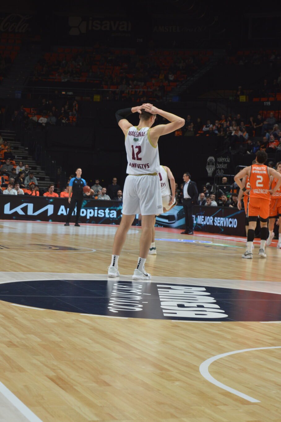 Valencia Basket Lietkabelis