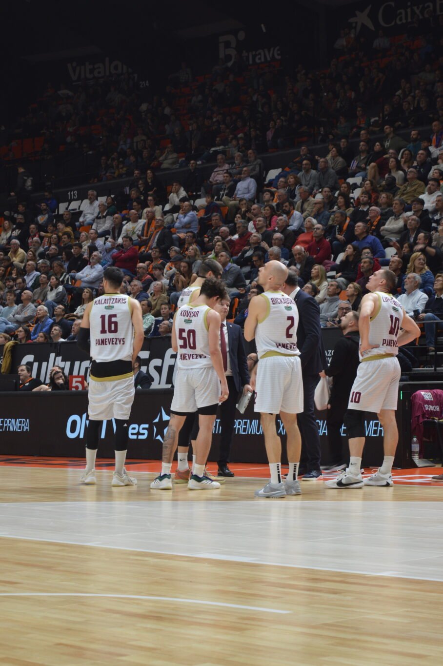 Valencia Basket Lietkabelis