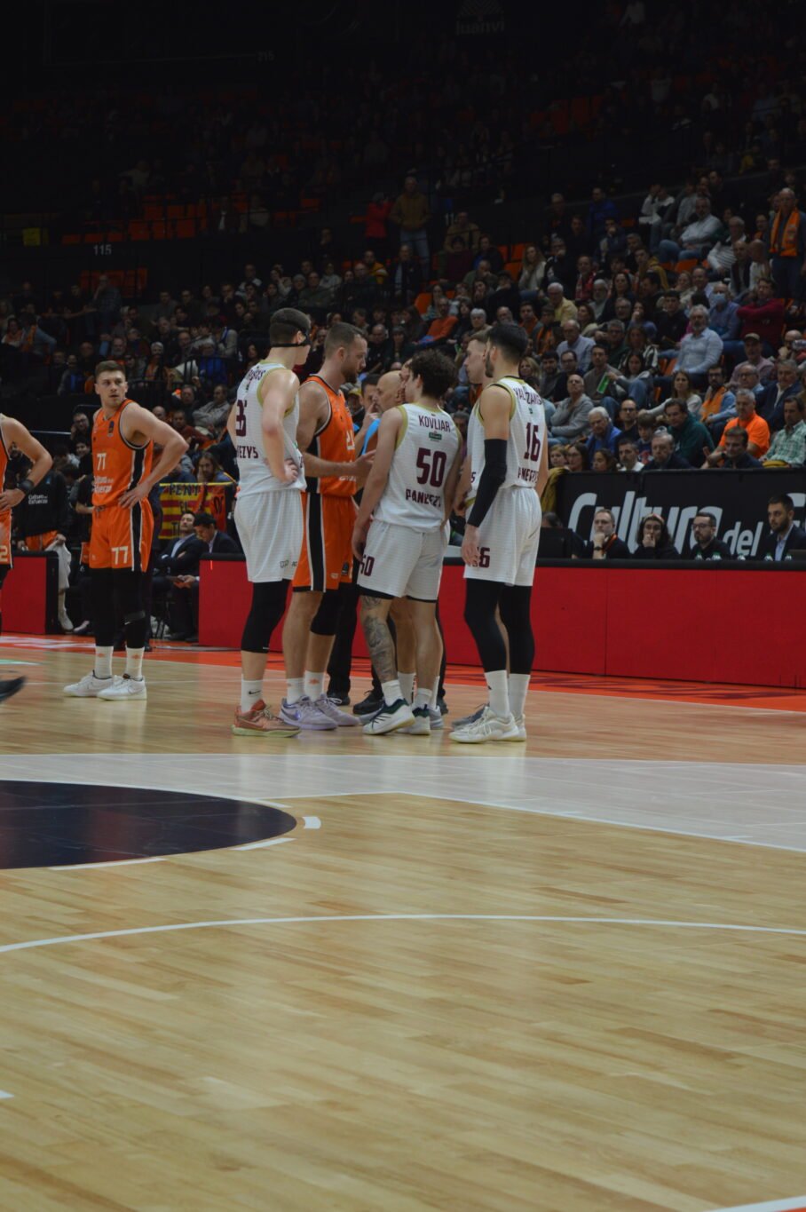 Valencia Basket Lietkabelis