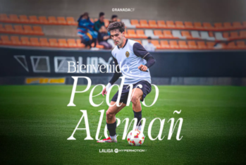 Pedro Alemañ